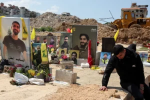 news 8184 1776463175