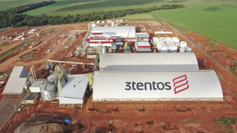 3tentos despenca 20% em dois dias com margem fraca no biodiesel: o que o mercado ignora?