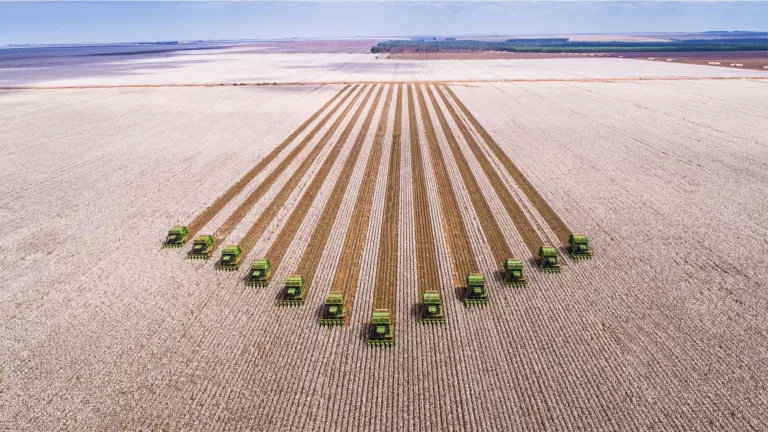 Home 3 Preços de Commodities Agrícolas: SLC Agrícola Sinaliza Fim da Queda e Otimismo com Margens em 2027