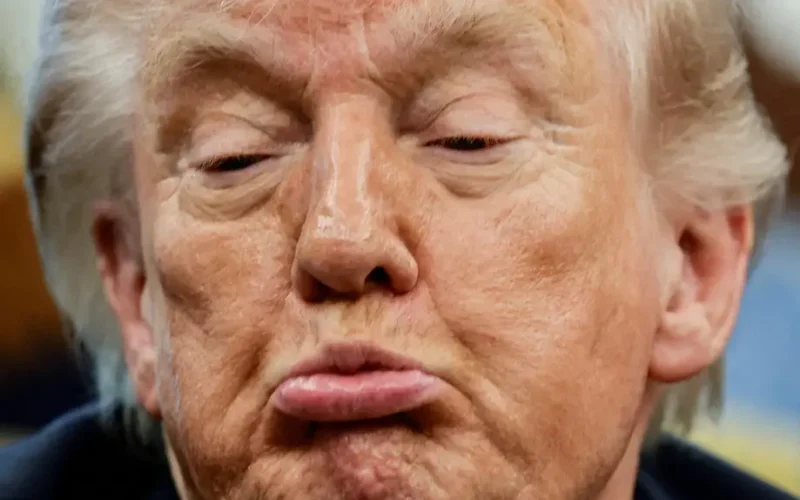 Trump Ataca Democratas e Questiona Eleição de 2020: O Que Isso Significa Para o Mercado e Sua Carteira?