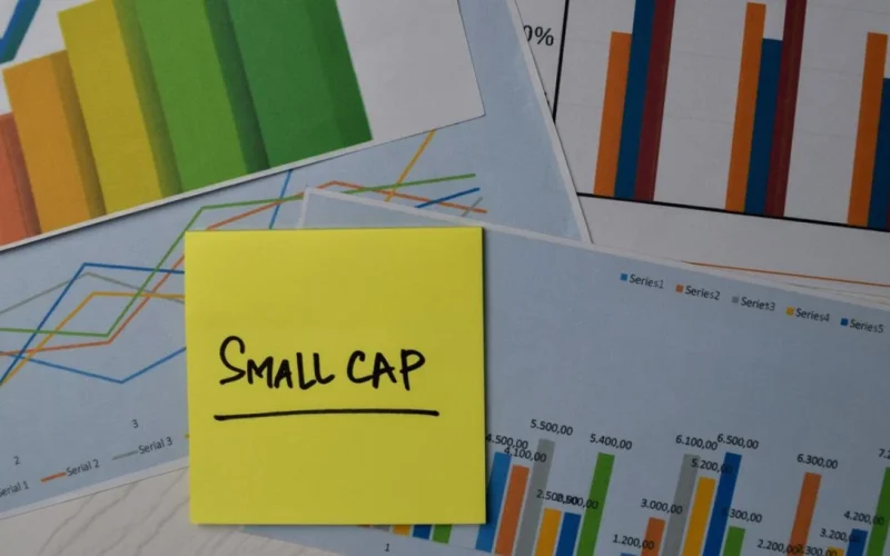 Small Caps em Queda: O Momento Certo para Investir Agora ou Esperar a Selic Cair? Análise Completa