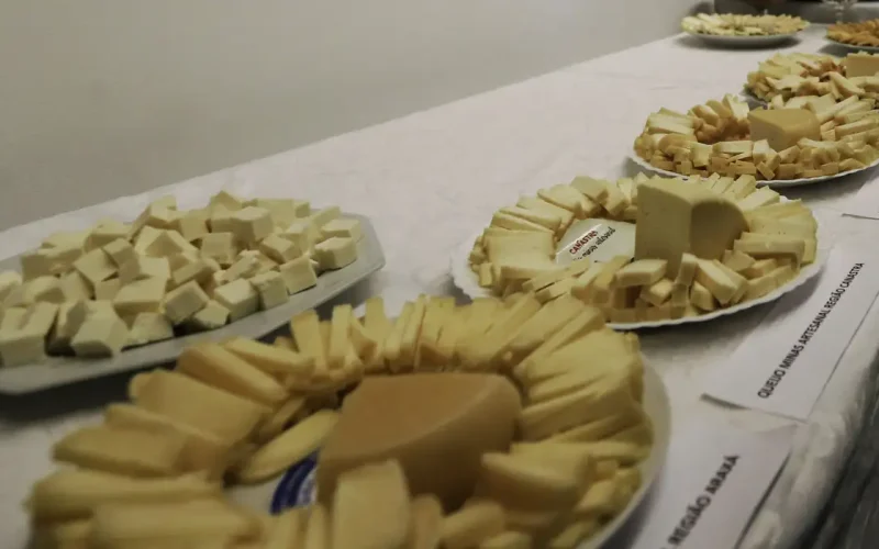 Acordo Mercosul-UE Impulsiona Importação de Queijo Mais Barato e Exportações Brasileiras com Tarifa Zero