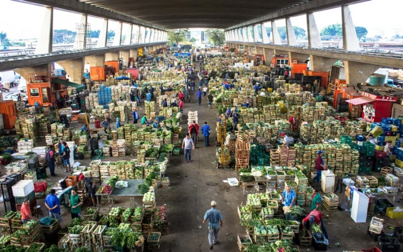 Fiagro Inovador: Ecoagro e Planta Pay Lançam Fundo de R$ 125 Milhões para Financiar Hortifrútis e Ovos