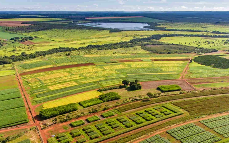 Governo Adia Regra de Crédito Rural: O Que Produtores e Bancos Precisam Saber Sobre Desmatamento e Financiamento