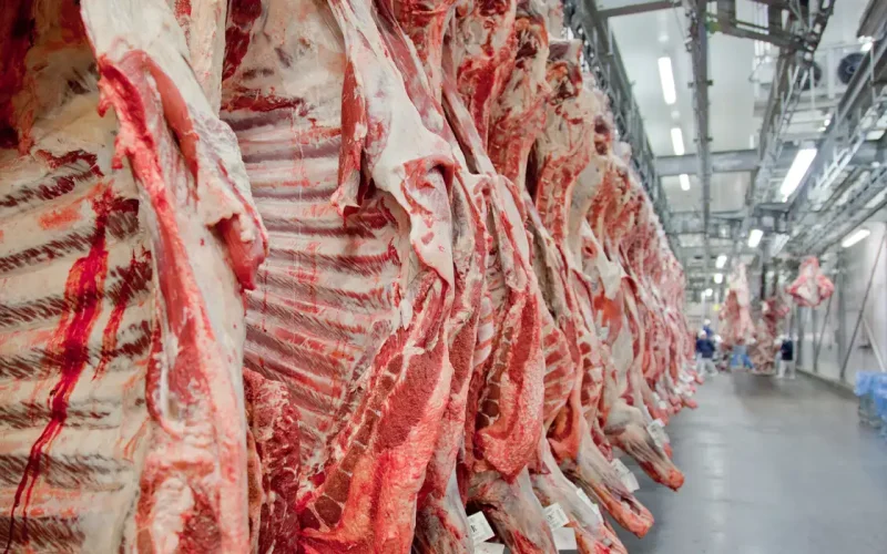 Brasil Reage a Vetos da União Europeia em Carnes e Animais: O Que Isso Significa Para o Agronegócio Brasileiro?