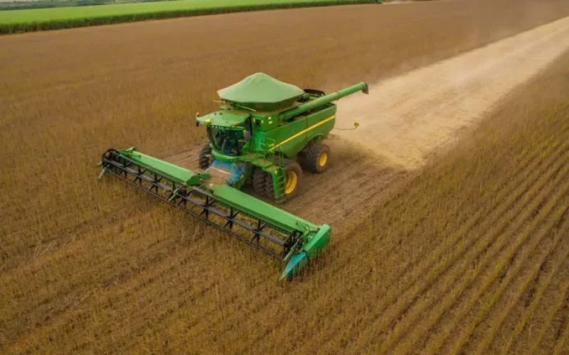 SLC Agrícola: Chuva Atrasou Vendas de Soja, Mas Produção Recorde e Preços em Alta Sinalizam Recuperação