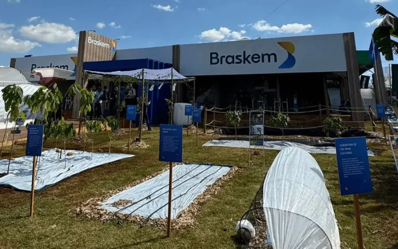 Braskem (BRKM5) Duplica Lucro no 1º Tri: Impulsionada por Mudanças Societárias e Desafios Operacionais