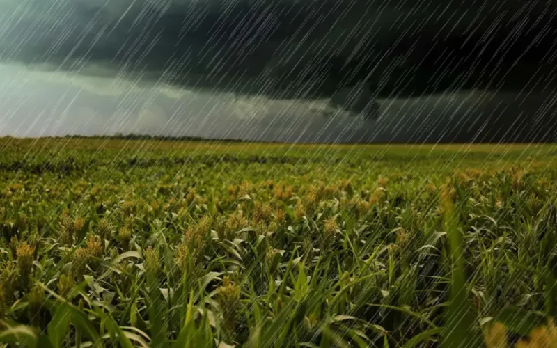 Chuva Persistente Chega ao Centro e Sul do Brasil: Impactos na Agricultura e Alertas para o Mercado Financeiro