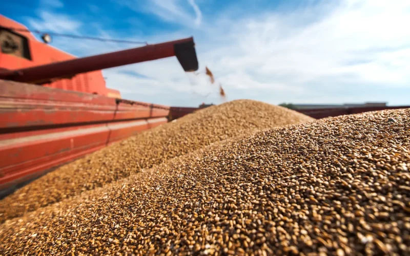Brasil Inunda Mercado Global com Óleo de Soja Barato: Atraso no Biodiesel Explica Descontos Históricos