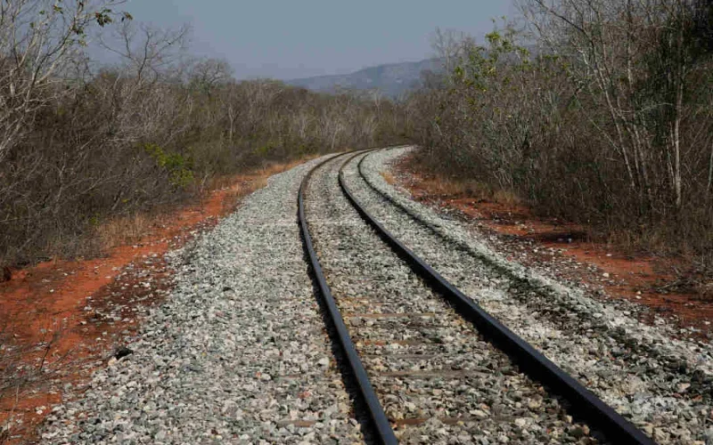 STF Libera Ferrogrão: Parque Nacional do Jamanxim Reduzido para Viabilizar Gigante do Agronegócio