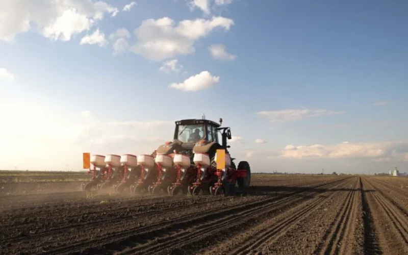 Terra Barata no Brasil: Oportunidade de Ouro para Investidores com Estrutura Financeira Robusta