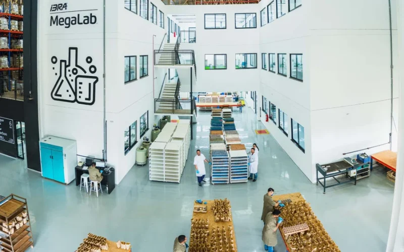 IBRA Megalab: Revolucionando o Agronegócio com Planos de Saúde do Solo e Aumento da Produtividade