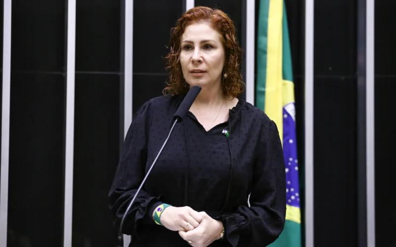 Carla Zambelli: Extradição Negada na Itália Abre Caminho para Retorno ao Brasil e Gera Debate Jurídico