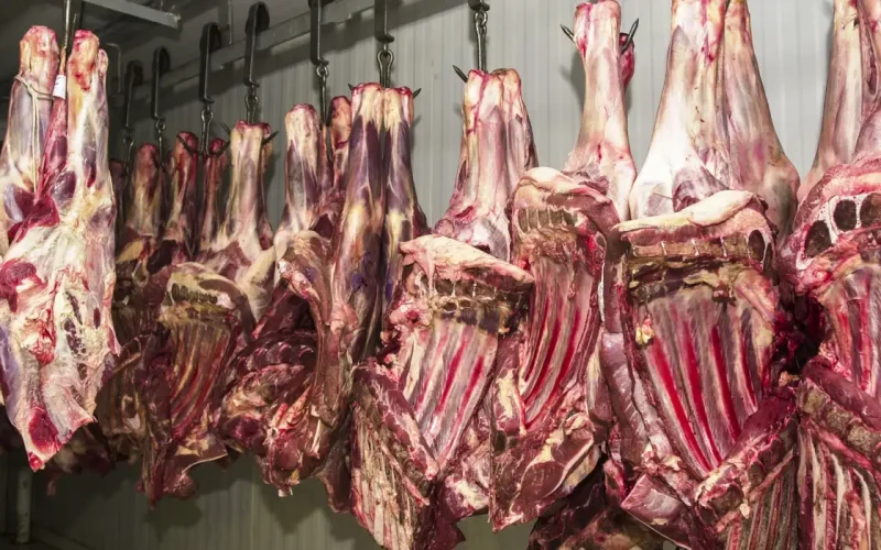 China Suspende Frigoríficos Brasileiros: O Que Isso Significa para o Mercado de Carne Bovina e Investimentos?