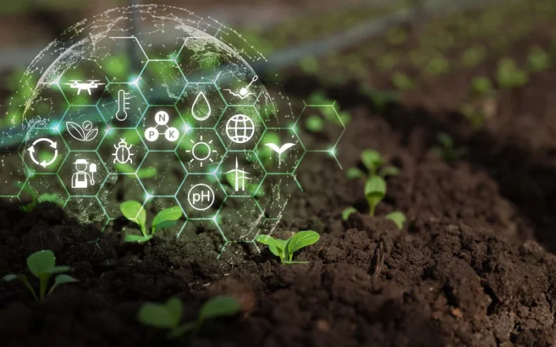 EcoInvest: Biocombustíveis e Fertilizantes Verdes Podem Desbloquear R$ 50 Bilhões em Inovação e Crescimento Sustentável