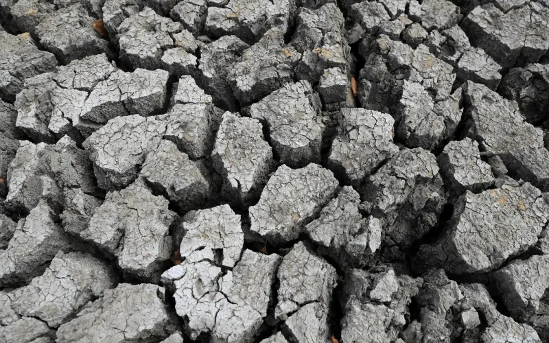 El Niño Poderoso Chega: História Revela Estragos e Alerta para Crise Global Iminente