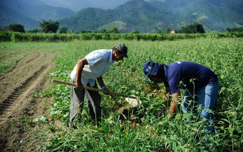Agronegócio em Xeque: A Escala 5x2 Desafia a Produção de Alimentos e Exige Investimentos em Automação Urgente
