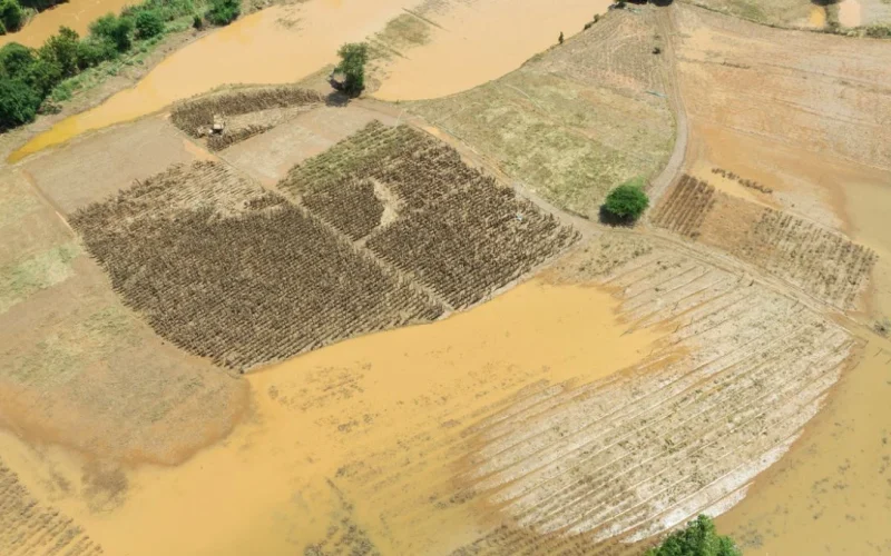 Alerta Climático: O que é o 'El Niño Godzilla' e como ele pode impactar o Brasil em 2026/2027?