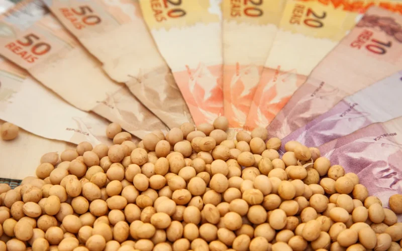 Soja Dispara: Cotações Avançam Até R$ 3,00 Nesta Quarta; Veja Preços Por Região e Impulso do Dólar