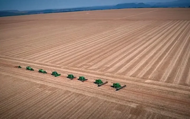 Revolução no Campo: SLC Agrícola Economiza R$ 58 Milhões com IA e Manejo de Precisão