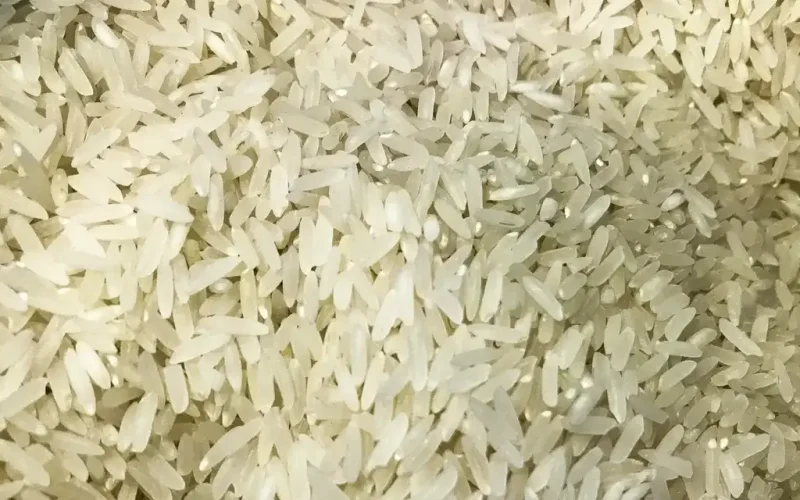 Camil Alimentos Surpreende: Forte Aumento de Capital Proposto de R$ 1,39 Bilhão Sem Nova Emissão de Ações