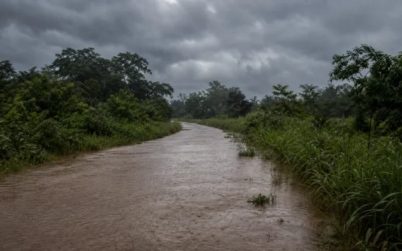 Alerta Roraima: Chuvas Intensas Mobilizam Técnicos Federais em Resposta Emergencial e Impacto Econômico Iminente