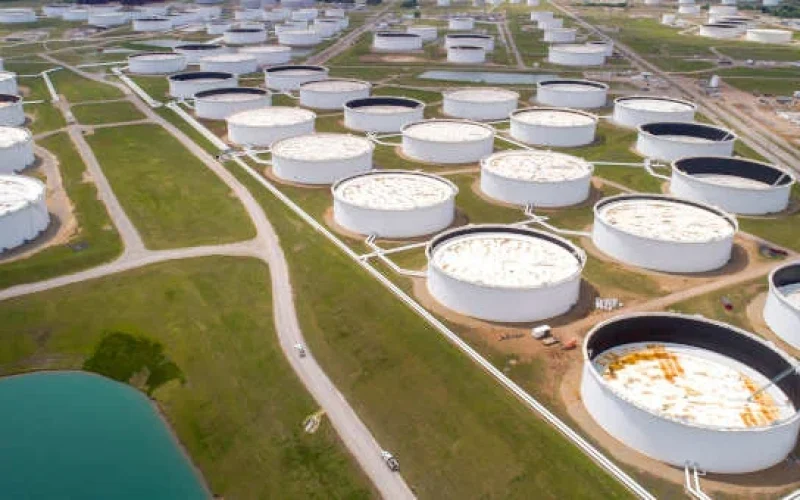 Vaca Muerta Rumo a 1 Milhão de Barris/Dia: Argentina Prepara Explosão na Produção de Petróleo Até 2028