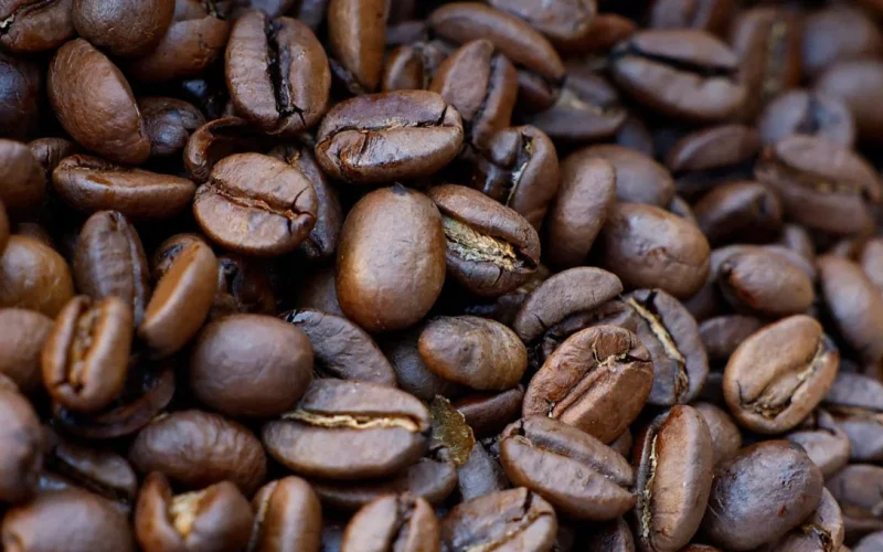 Café Arábica em Queda Livre: Preços Baixam para Mínima de 1 Ano e Meio na ICE; Açúcar Reage com Alta