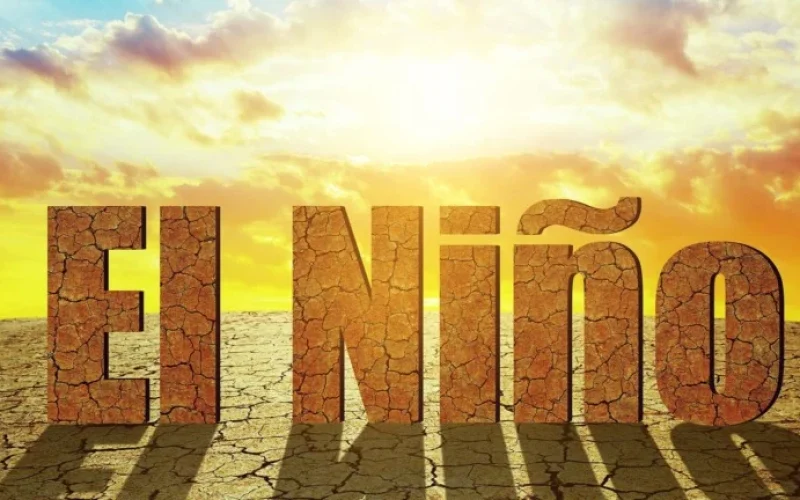 Super El Niño: Alerta no Agronegócio Global e no Brasil com Impactos Históricos nas Commodities