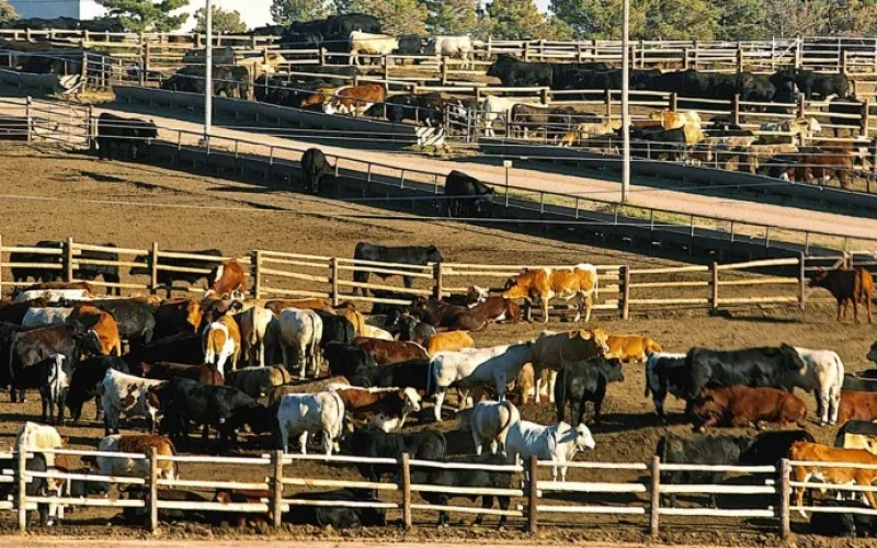 JBS fecha planta de carne bovina nos EUA: Crise de gado atinge indústria e levanta alertas para o mercado brasileiro