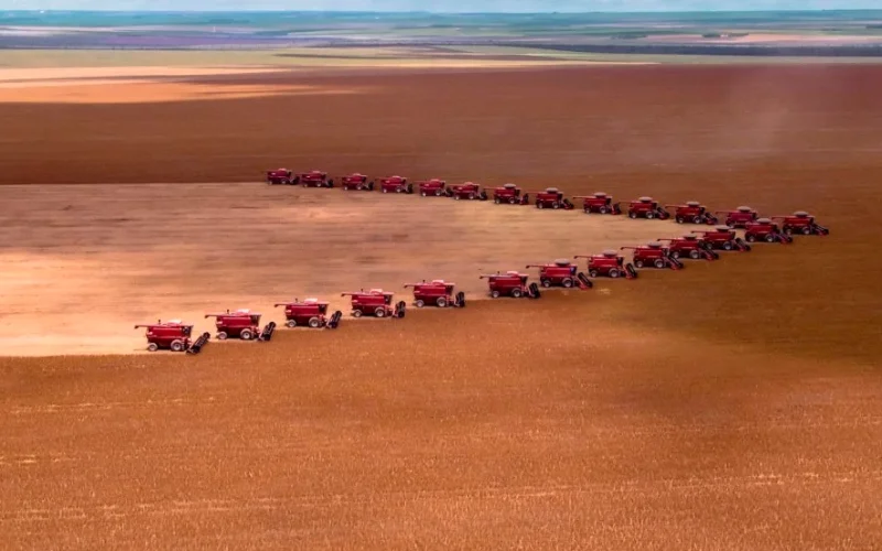 Gigante do Agronegócio Brasileiro Faz Oferta Milionária por Fazendas em MT; Gigante Global Pode Vetar