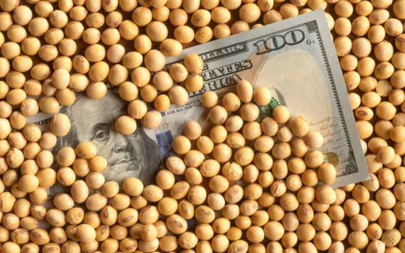 Soja em Chicago Recua: Dólar Forte e Petróleo em Queda Pressionam Cotações Após Pico Recente