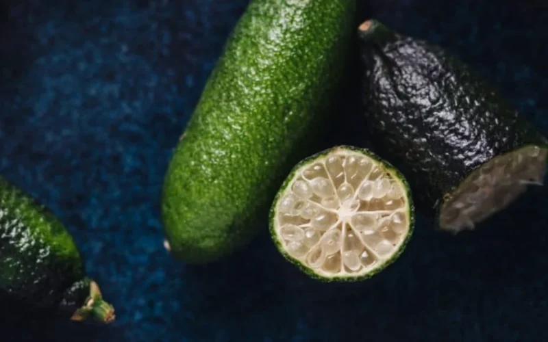 Limão Caviar Brasileiro: A Nova Joia da Gastronomia e Oportunidade de Ouro para Cítricultores