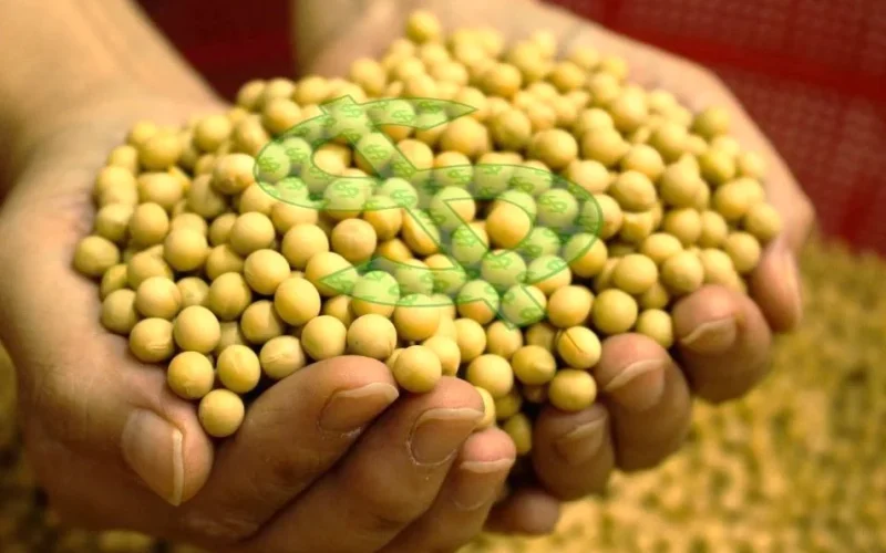 Fim do Superciclo das Commodities? IA e Juros Altos Desviam Bilhões do Agronegócio Brasileiro