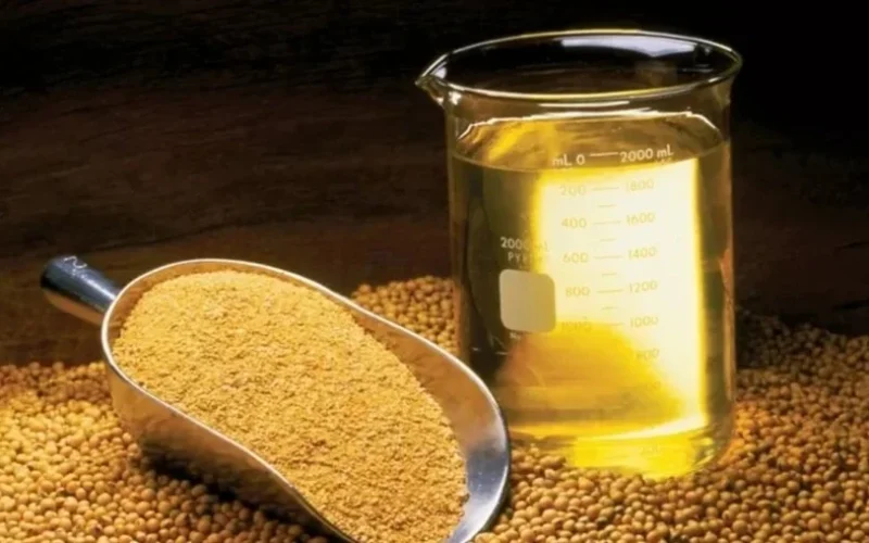 Abiove: Esmagamento de Soja em 2026 Deve Superar 63 Milhões de Toneladas, Impulsionando Receita Agrícola