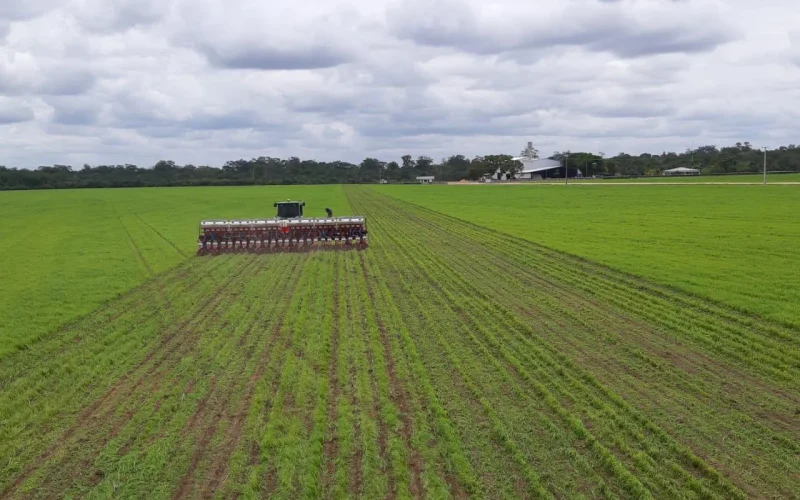 Soja em Roraima: Crescimento de 9,4% em 2026 Impulsiona Nova Fronteira Agrícola na Amazônia