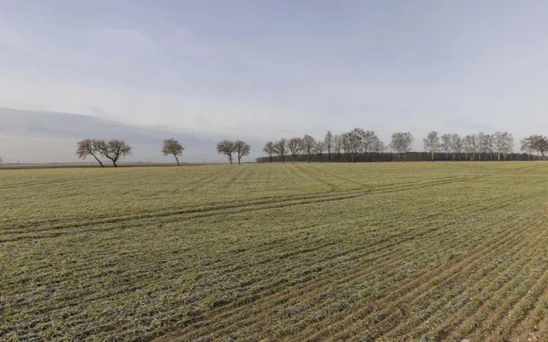 Frio Intenso e Chuvas Recordes Desafiam Agricultura Brasileira: Impactos e Alertas para o Setor