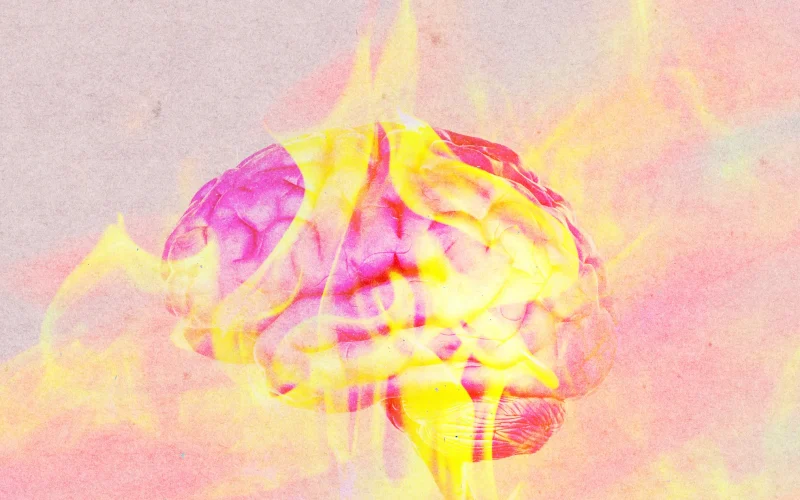 Onda de Calor Ameaça o Cérebro: Cientistas Desvendam o Impacto Alarmante na Cognição e Saúde Mental