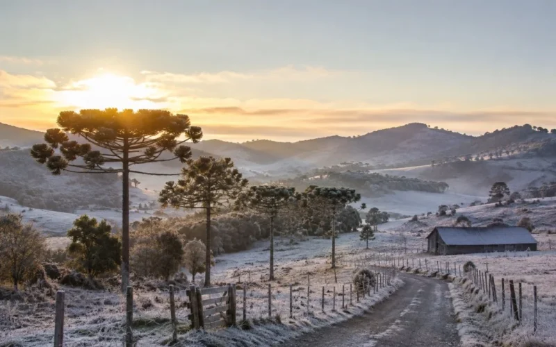 Frio Intenso, Geada e Temporais no Último Fim de Semana de Junho: Alerta Meteorológico e Impactos no Agronegócio