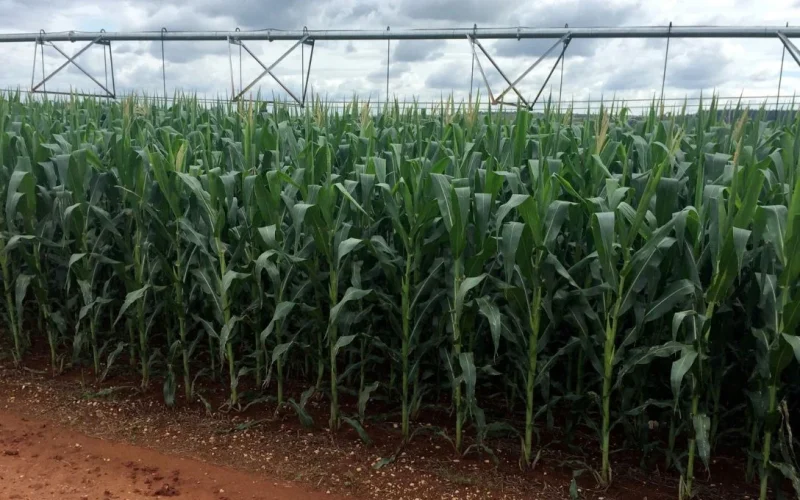 Plano Safra 2026/27: Lula Foca em Agricultura Familiar, Alckmin Lidera Lançamento Empresarial