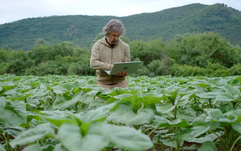 IA na Agricultura: Dados Prontos ou Campo Minado? A Verdade Sobre o Investimento em Tecnologia