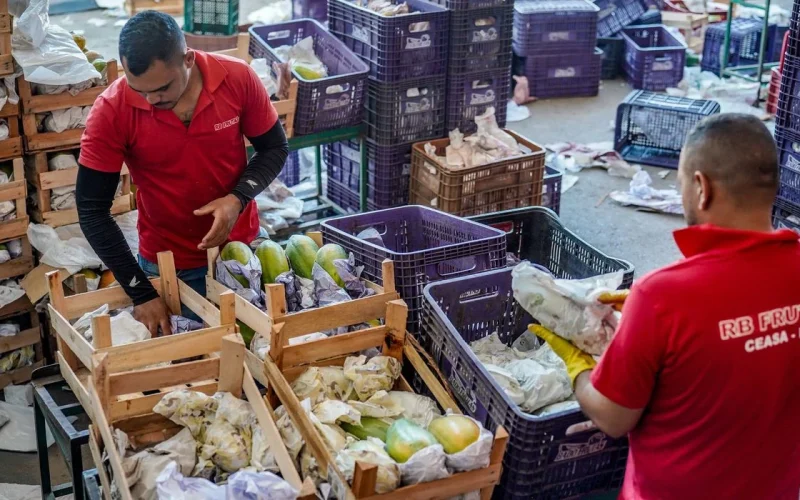 Plano Safra da Agricultura Familiar 2026/2027: R$ 97,3 Bilhões para Impulsionar Pequenos Produtores e Seguranca Alimentar