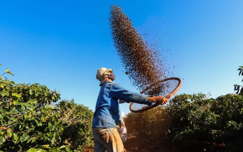 Ruiz Coffees: Gigante do Café Para Bloquear Pagamentos de Dívidas e Abalar Mercado de Capitais Brasileiro