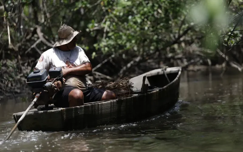 INSS Libera R$ 874 Milhões para Pescadores Artesanais em Julho: Entenda Quem Tem Direito e Como Consultar