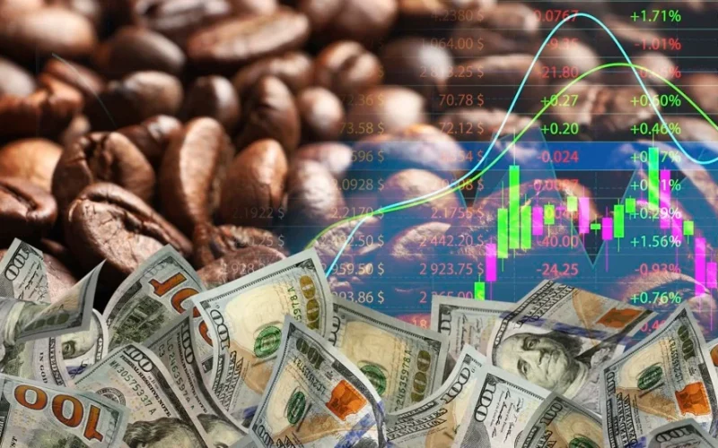 Café em Alta: Chuvas Atrasam Colheita no Brasil e Impulsionam Preços; Geadas e Estoques Baixos Agitam Mercado