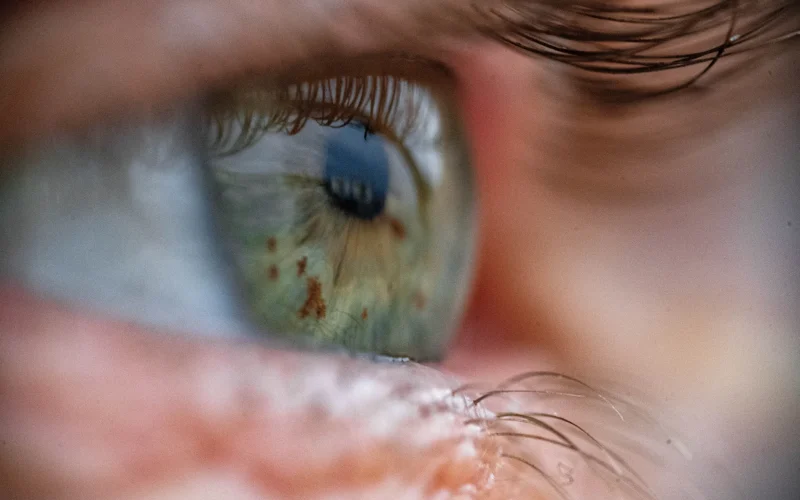 Revolucionária Caixa de Olhos Salva Visão: Transplantes de Olho Inteiro Podem Se Tornar Realidade