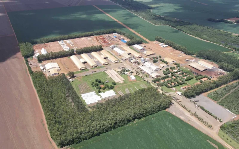 Petrovina Inova: Semente de Soja Carbono Zero Chega ao Brasil Buscando Vantagem Competitiva