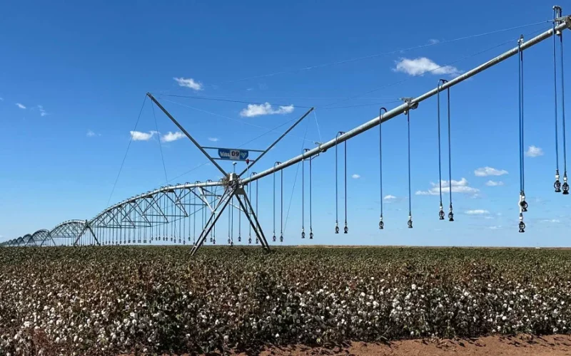 BrasilAgro: A Revolução da Irrigação no Oeste Baiano e a Nova Fronteira de Valorização de Terras