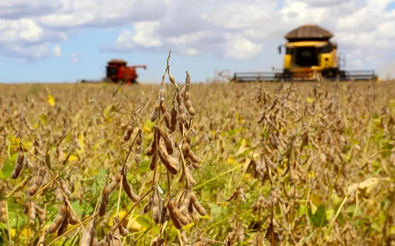 Safra Recorde de Grãos em 2025/26: Conab Projeta 360 Milhões de Toneladas e Impactos no Mercado Agrícola Brasileiro