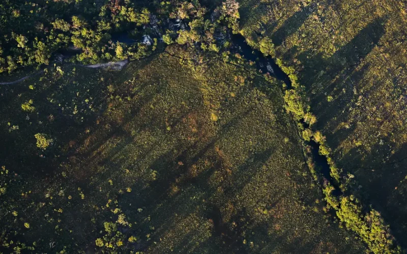 Crédito Rural: Juros em Queda para Projetos Sustentáveis na Safra 2026/2027 para Produtores do Norte, Nordeste e Centro-Oeste